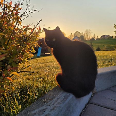 Domki Pod Lasem Rokiciny Podhalanskie Exterior foto