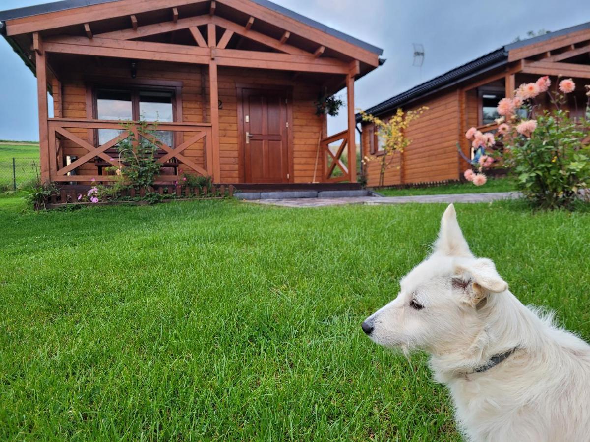 Domki Pod Lasem Rokiciny Podhalanskie Exterior foto