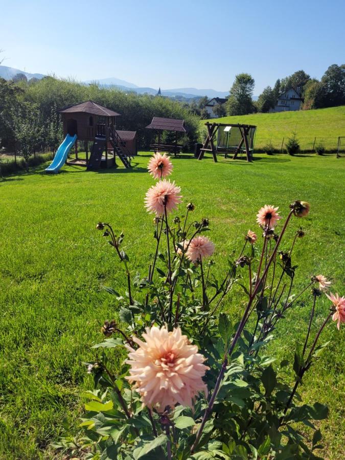 Domki Pod Lasem Rokiciny Podhalanskie Exterior foto