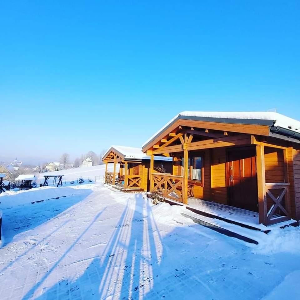 Domki Pod Lasem Rokiciny Podhalanskie Exterior foto