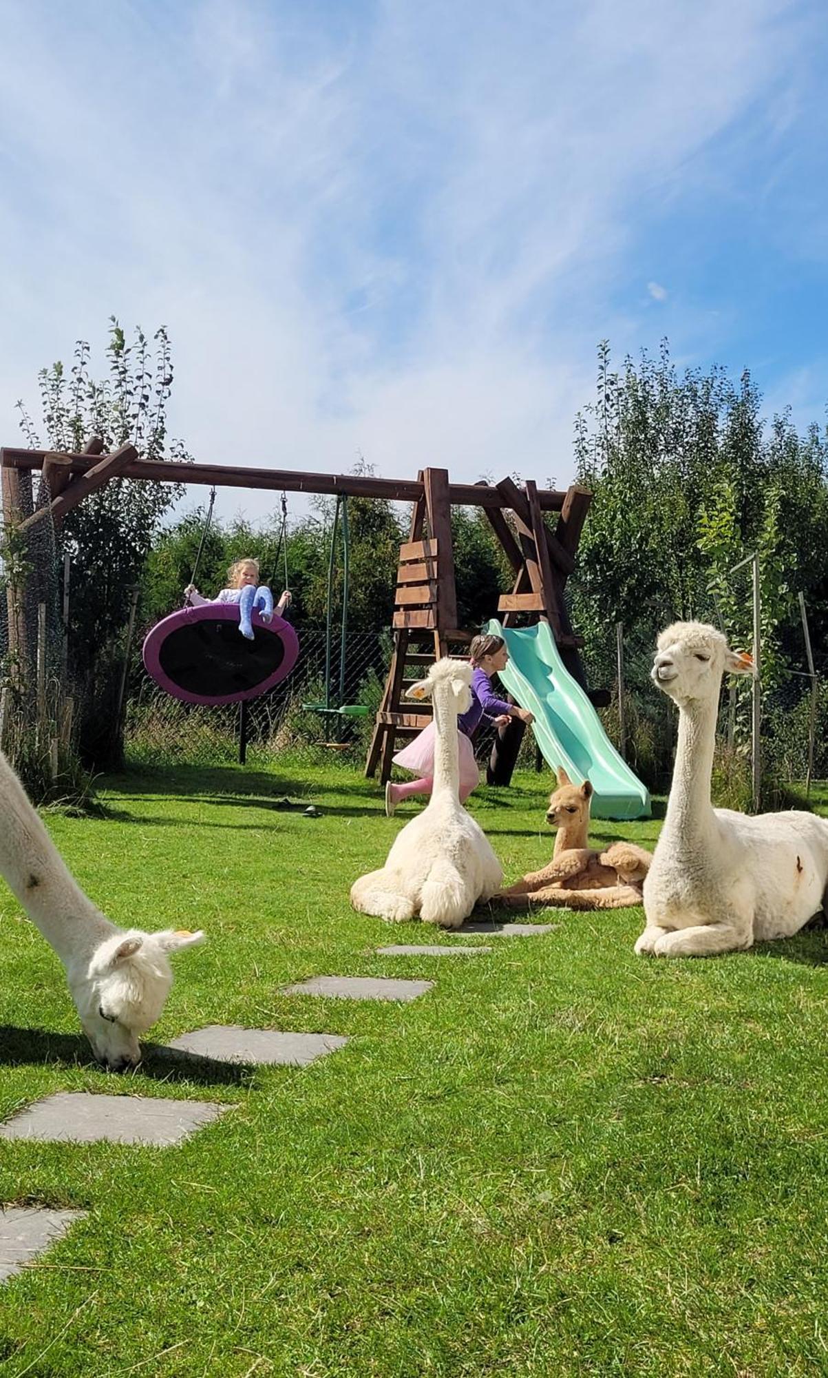 Domki Pod Lasem Rokiciny Podhalanskie Quarto foto